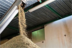 Research Examines Functional Ingredients in Olive Pomace
